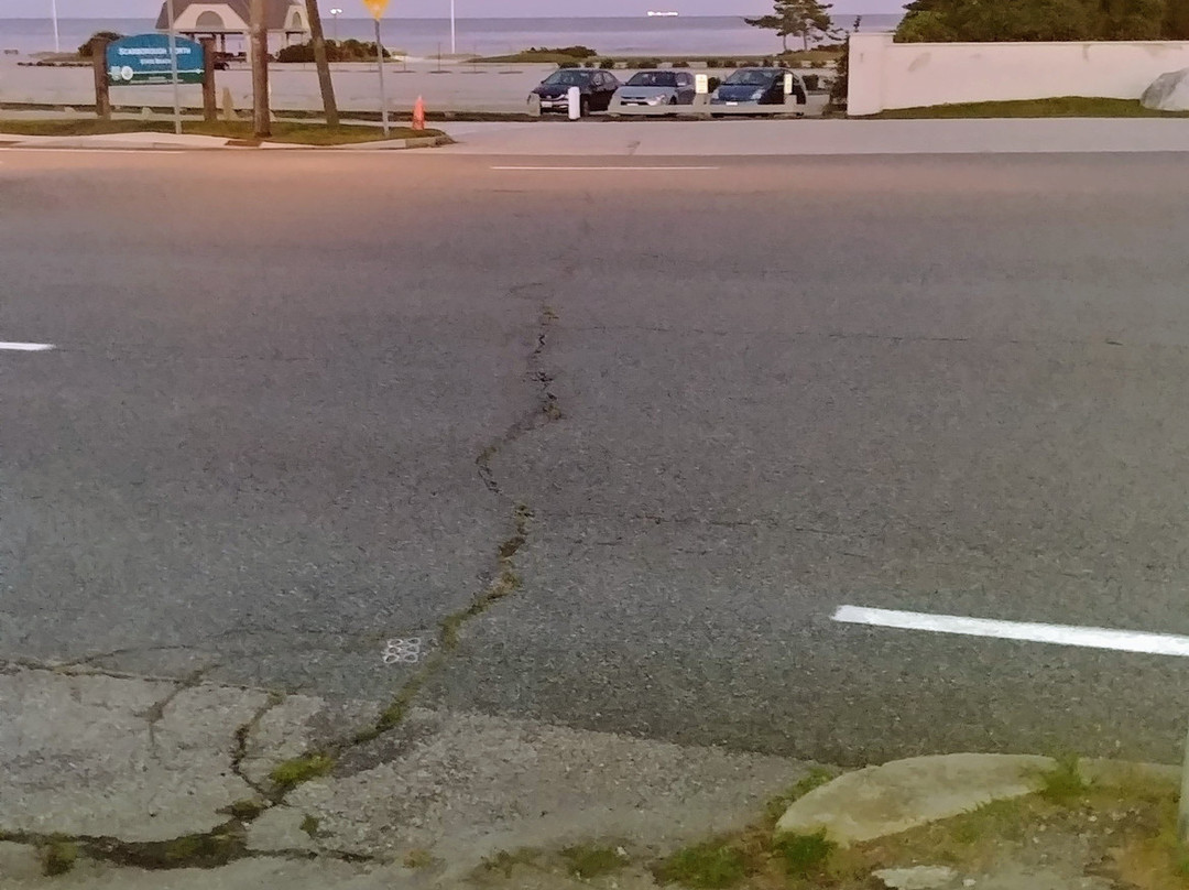 Scarborough Beach Motel主图