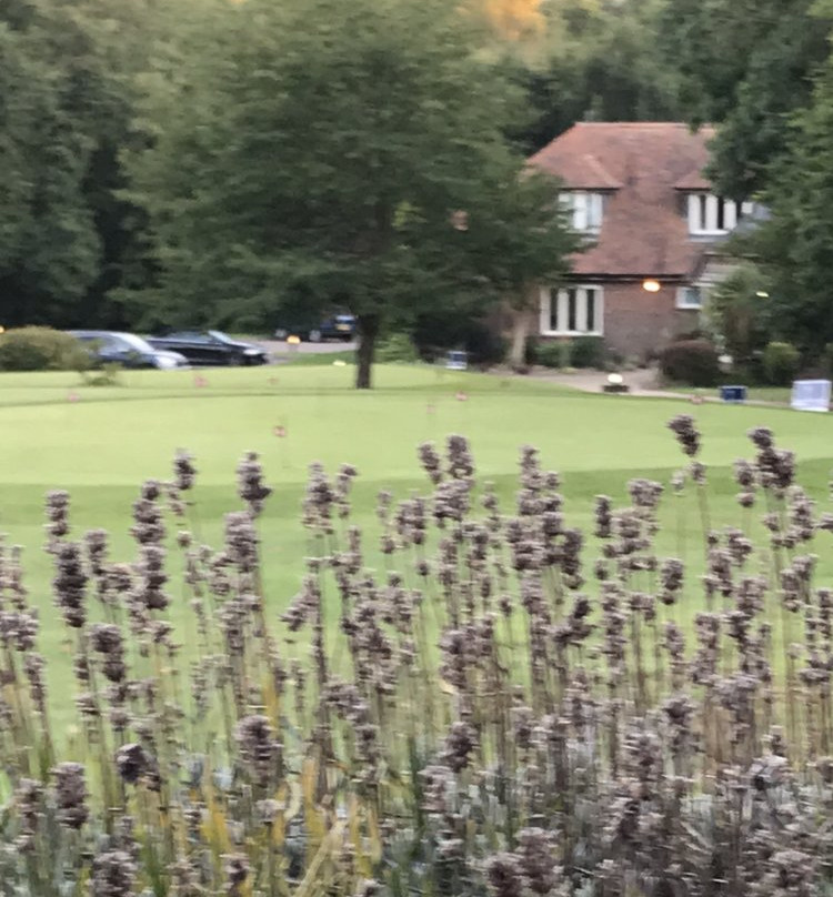 Sedlescombe Golf Hotel主图