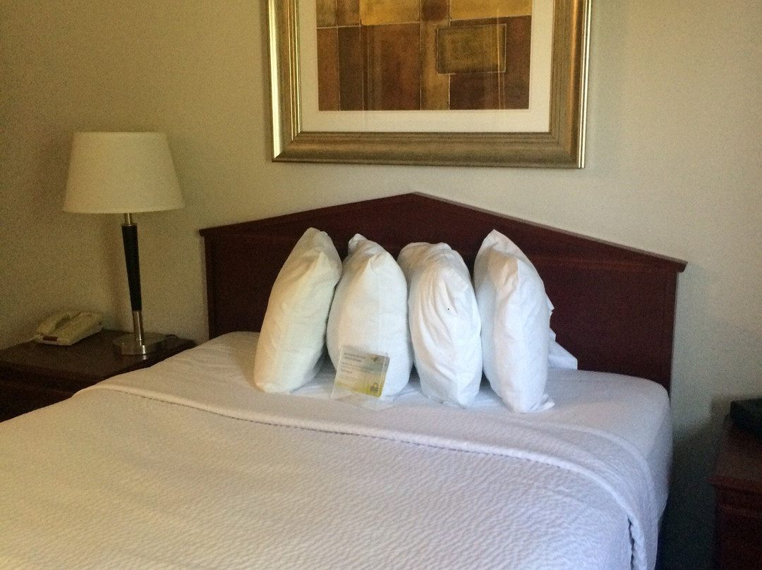 Days Inn & Suites by Wyndham Columbus NE主图