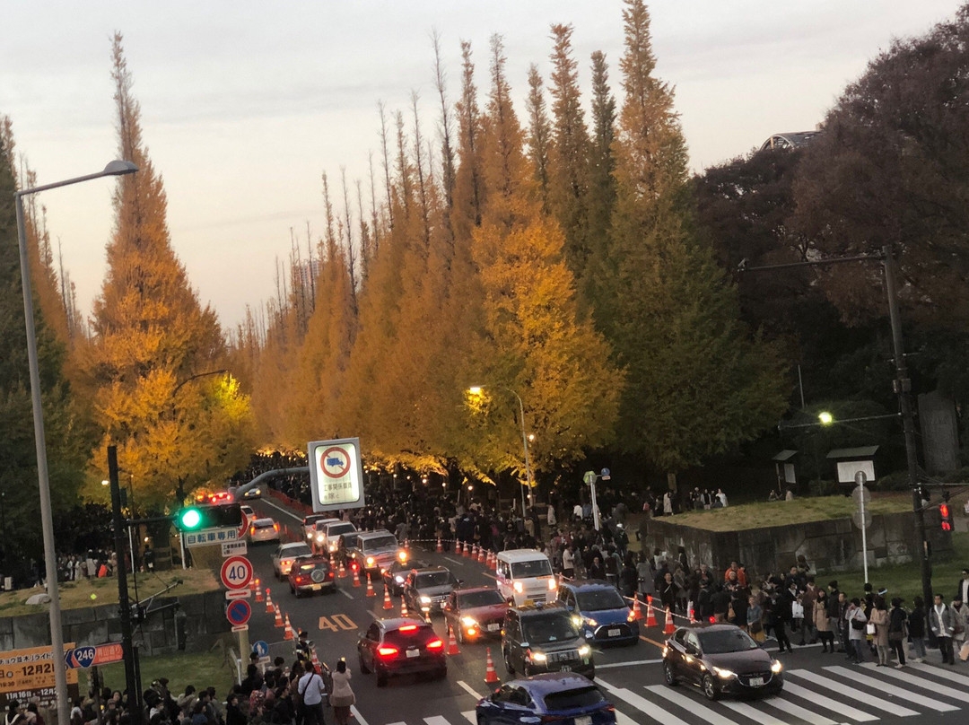 Jingu Gaien Ginkgo Tree-lined Street景点图片