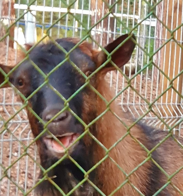 Sandra Spa Pogorzelica主图