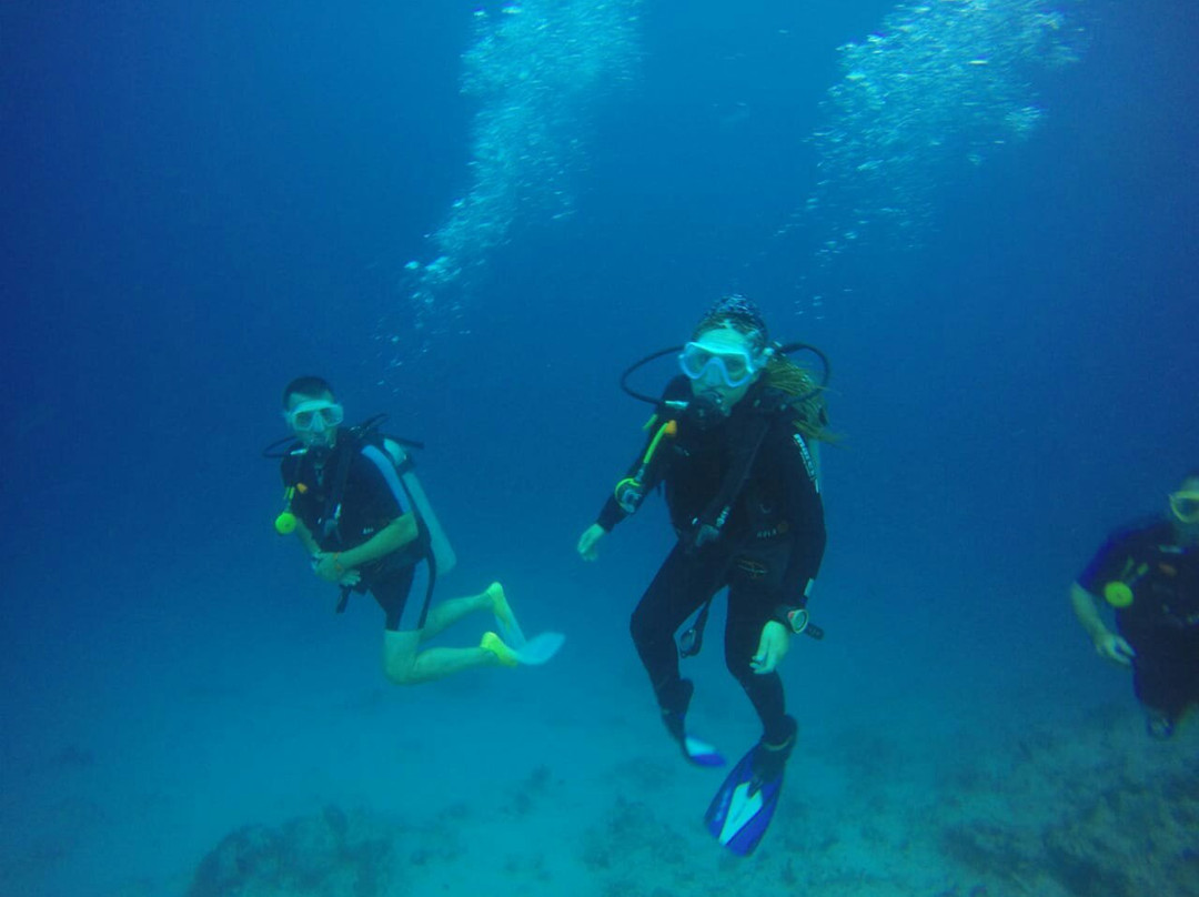 Cool Divers Diving Center-基万嘎必去景点