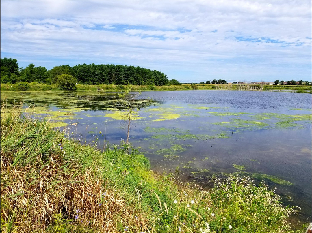 Port Rowan Wetlands景点图片