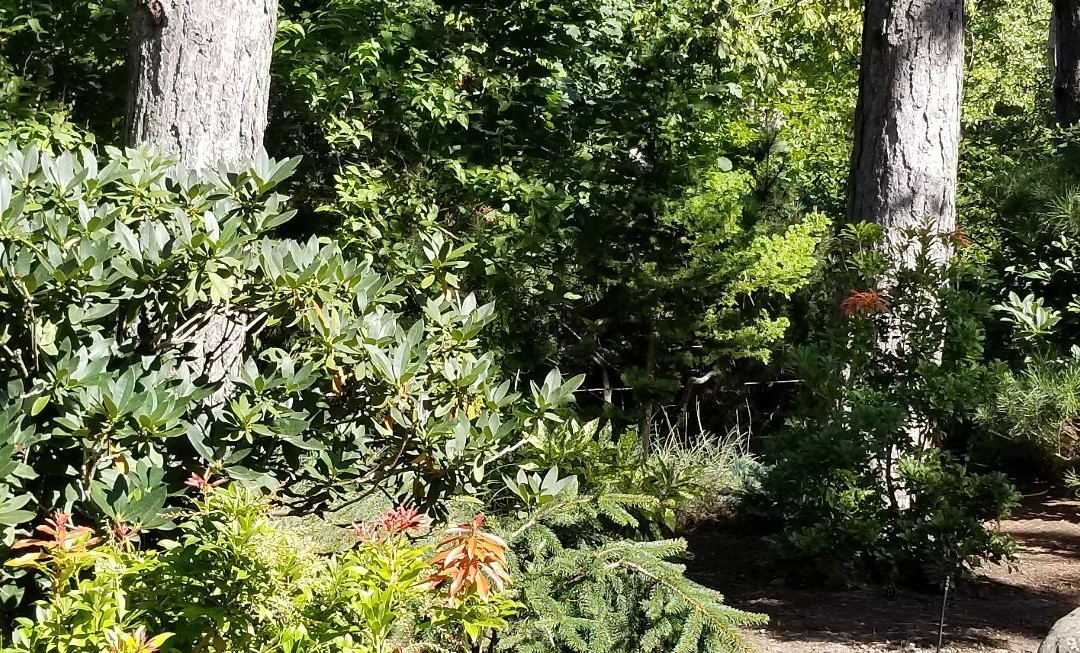 Gresham Japanese Garden-格雷舍姆必去景点