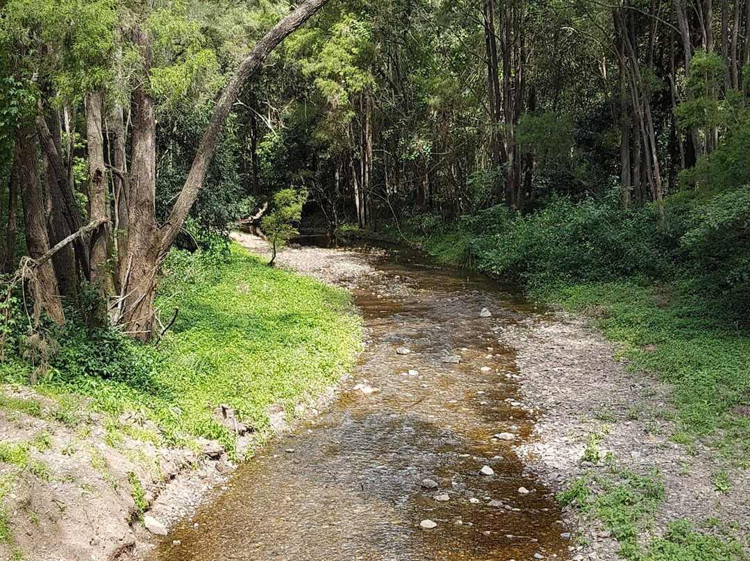 Red Cedar Park景点图片