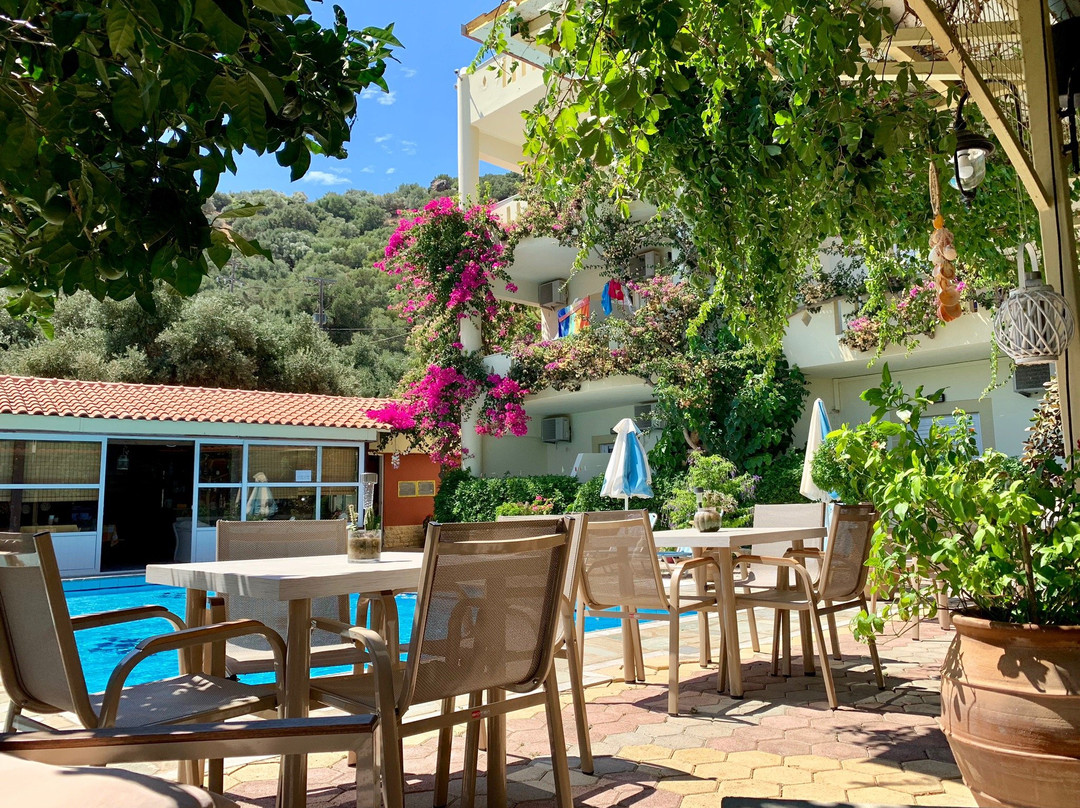 Sunrise Hotel & Apartments主图