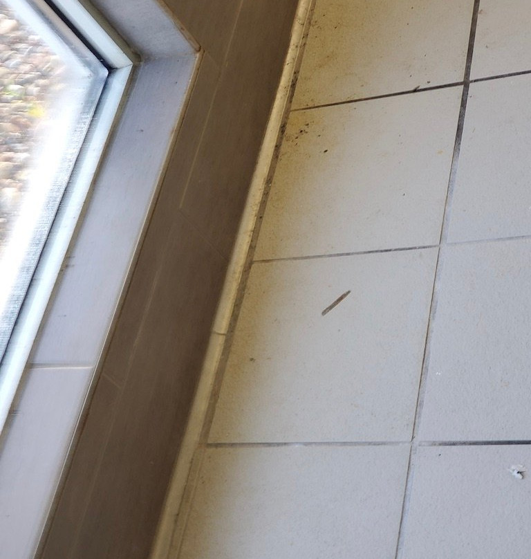 Country Inn & Suites by Radisson, Rochester, MN主图