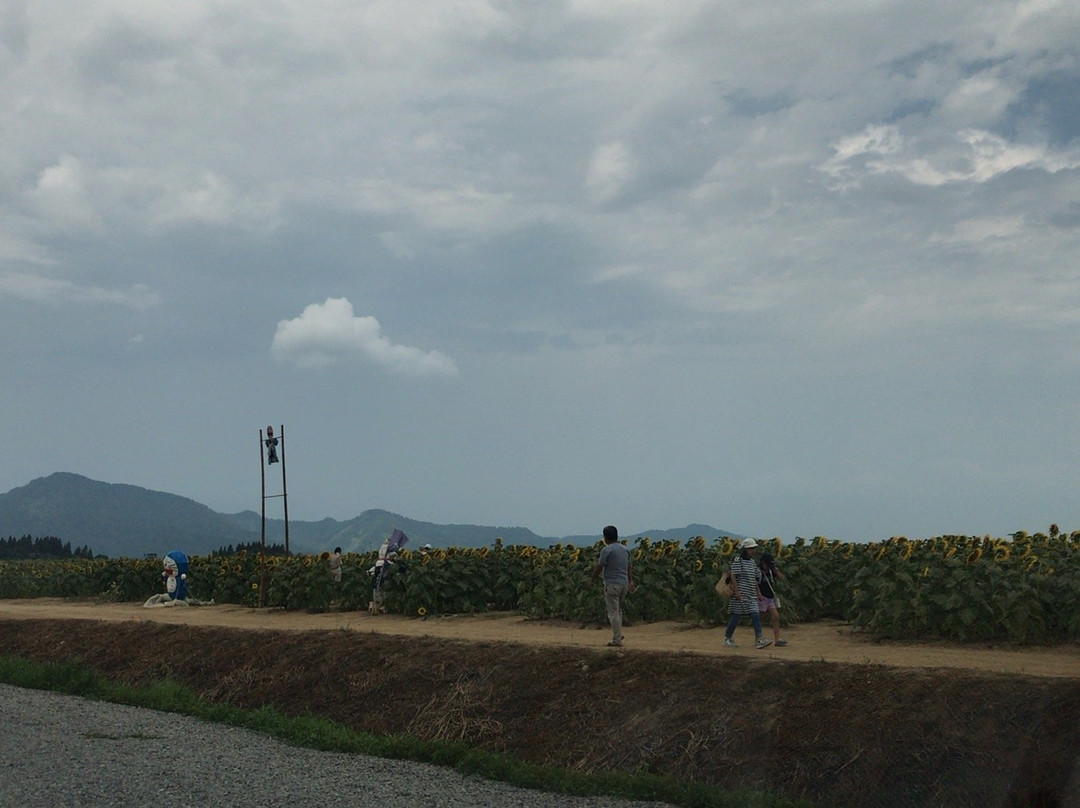 Tsunan Himawari Square-津南町必去景点