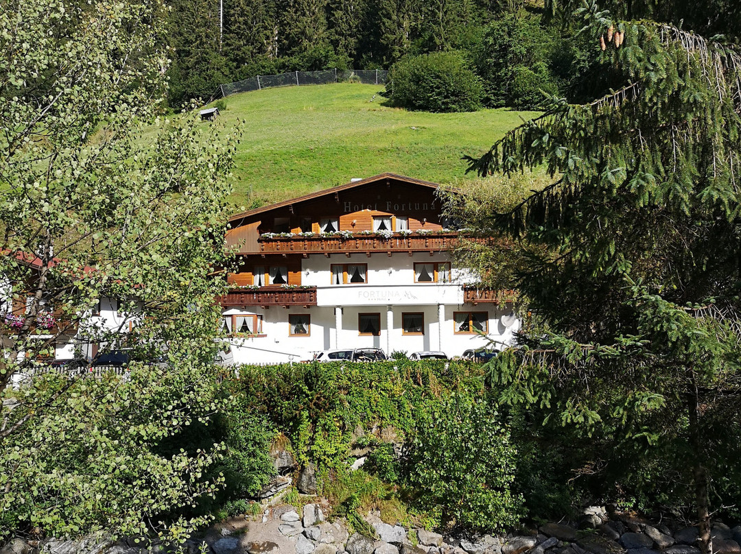 Hotel Fortuna主图
