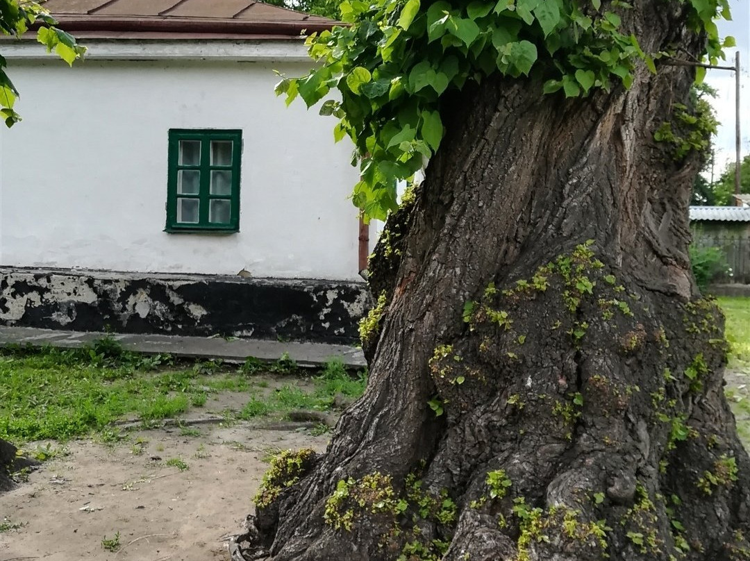 Mykhailo Kotsyubynsky Literary Memorial Museum-Vinnytsia必去景点