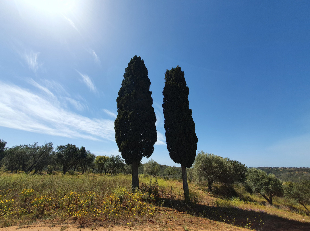 Riserva Naturale Orientata Sughereta di Niscemi