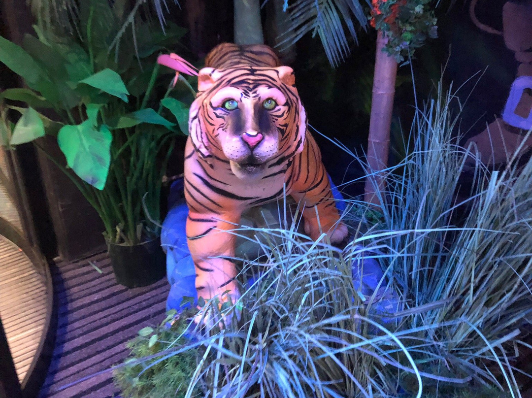 Goolfy Blacklight Minigolf-布朗肯堡必去景点
