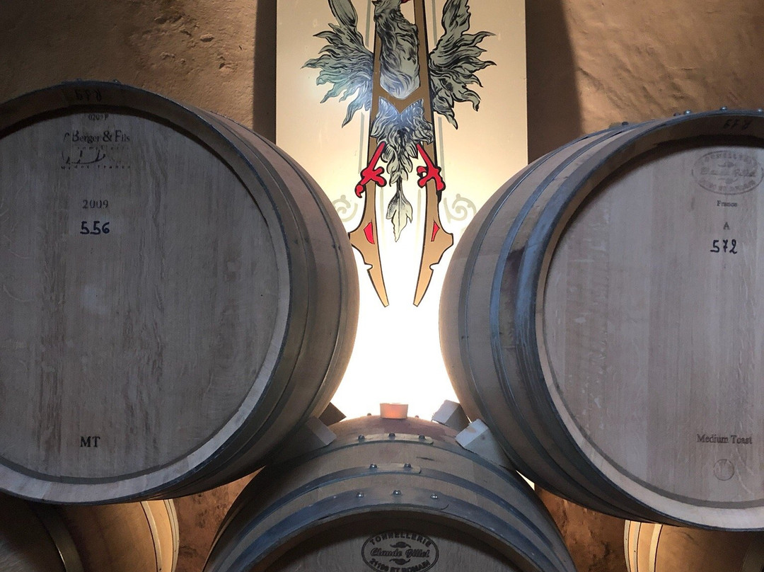 Locanda Marchesi Alfieri主图