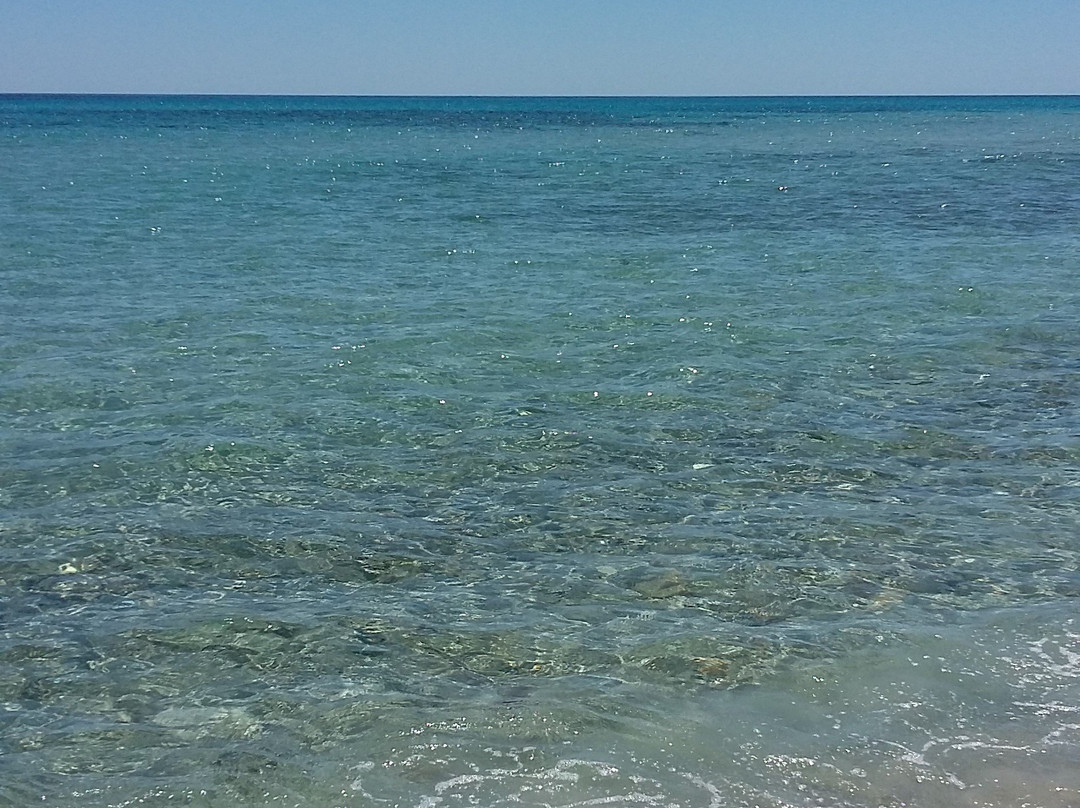 Spiaggia Di Berchida-Siniscola必去景点