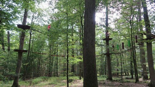 Kletterwald Marburg-马堡必去景点