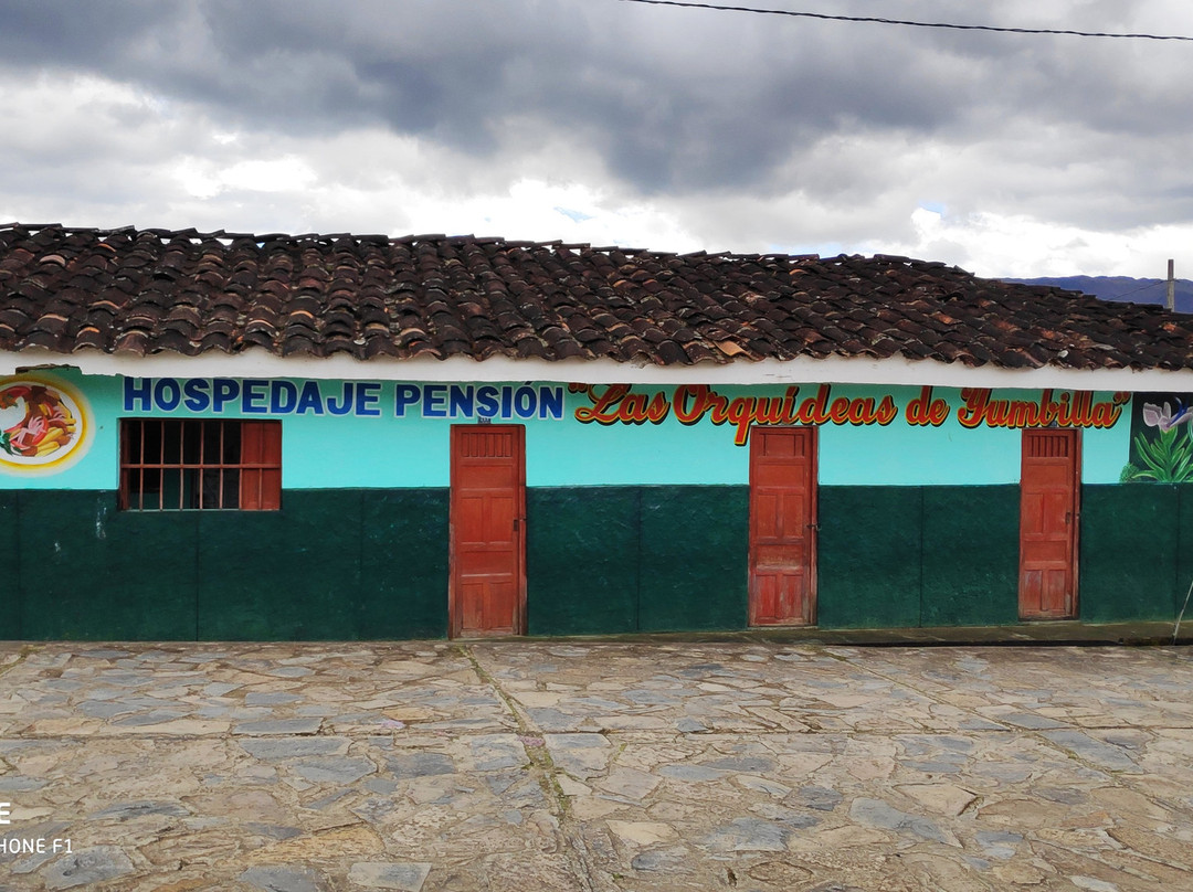 Hospedaje Pension Las Orquideas De Yumbilla主图