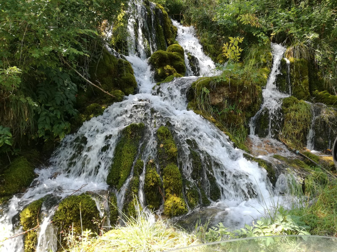 Parco Naturale la Sponga景点图片