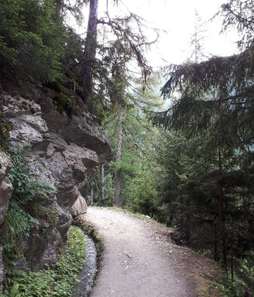 Sentier du bisse du Glacier du Trient-Trient必去景点
