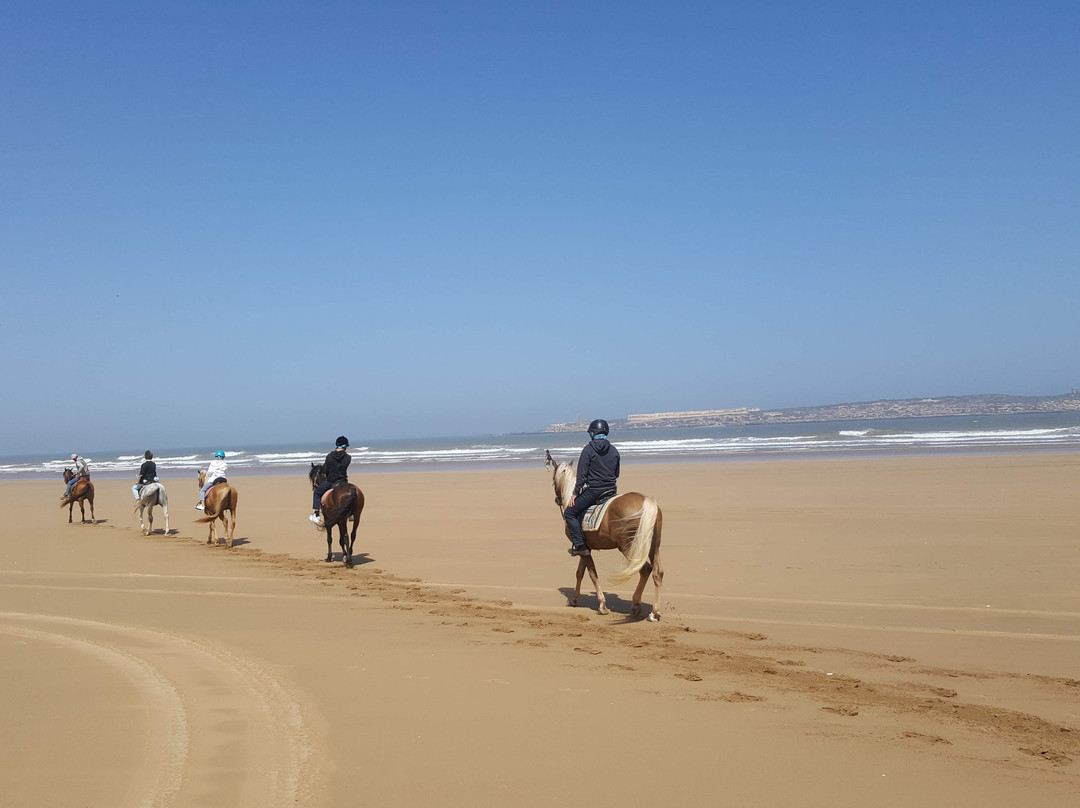 Zouina Cheval-索维拉必去景点