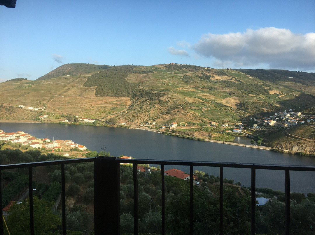 Tomas Barqueiro主图