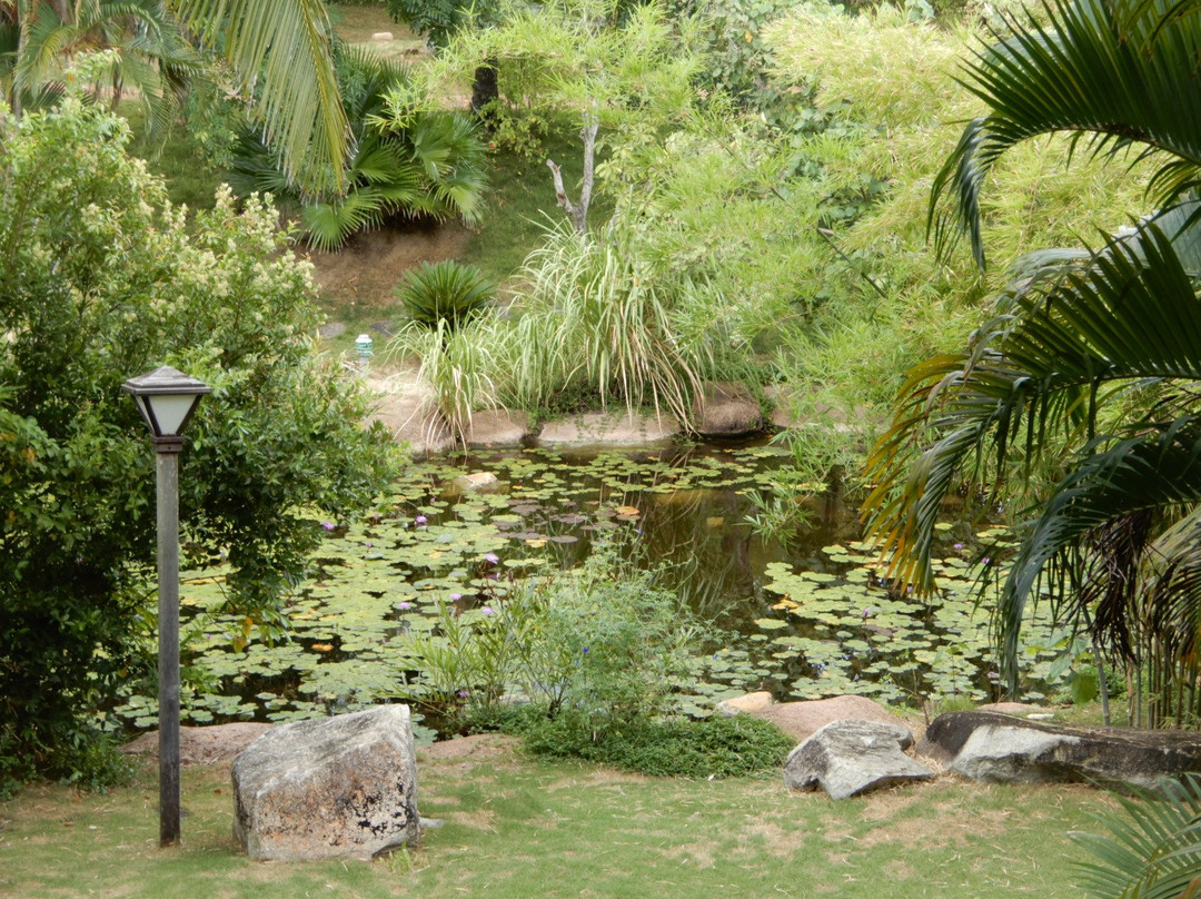 Sun Spa Resort Quang Binh Vietnam主图