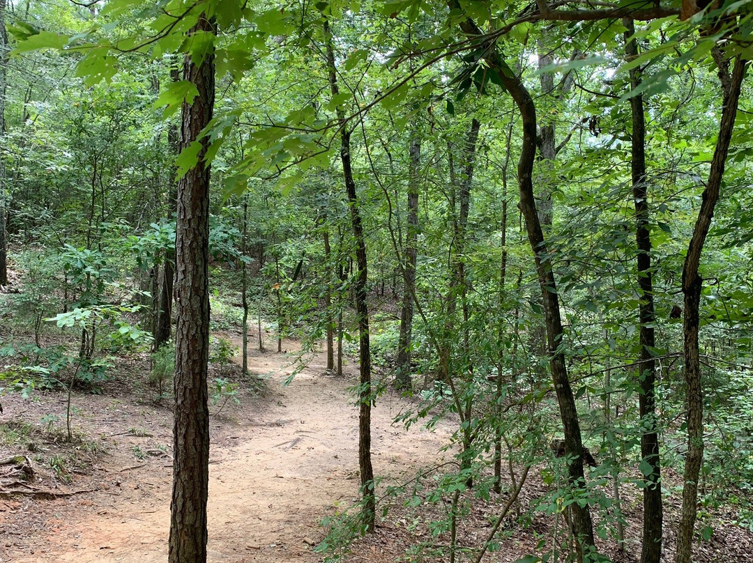 Anne Springs Close Greenway-米尔堡必去景点
