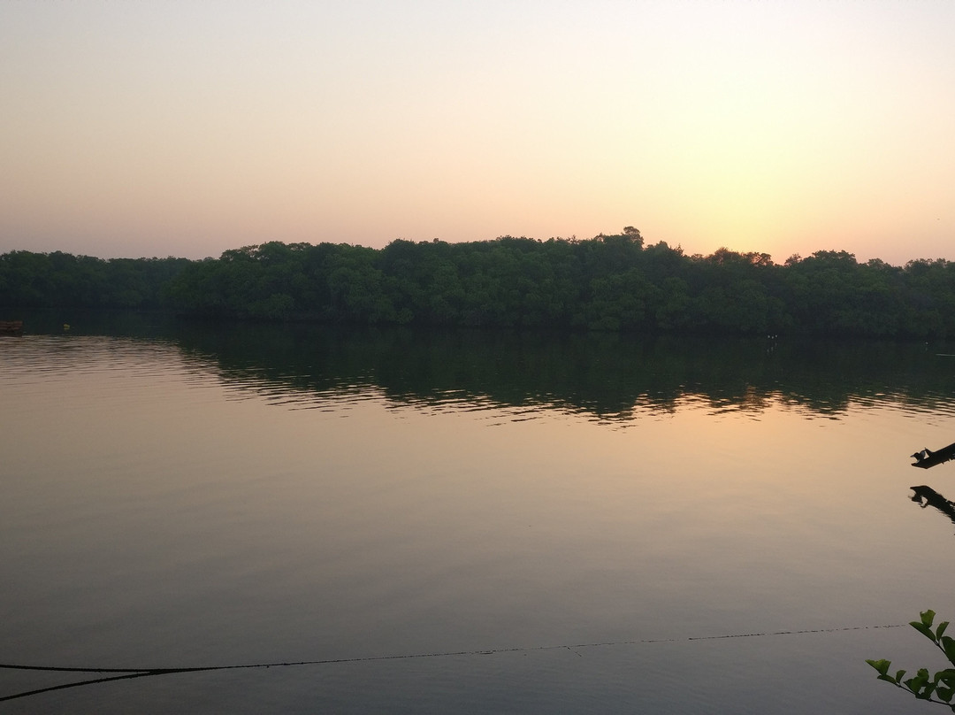 Wilpattu Nature Resort主图