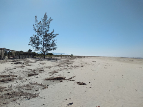 Ponta da Praia Beach-Ilha Comprida必去景点