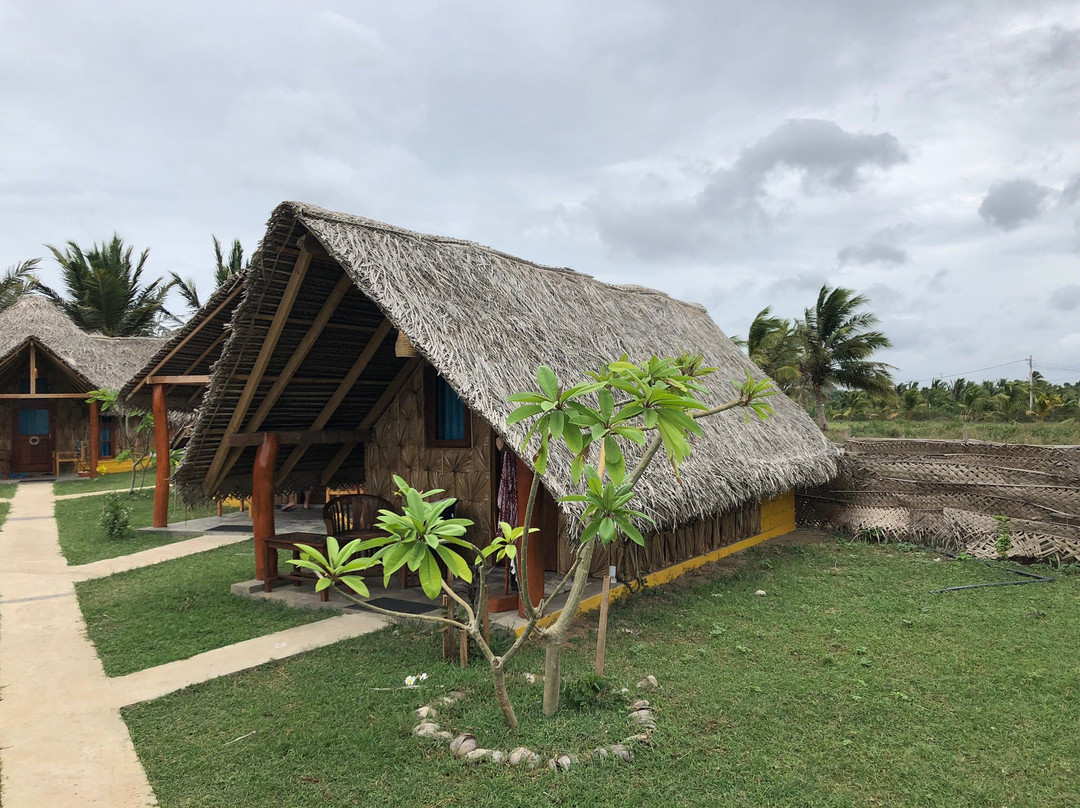 Nilaveli Sand Life主图