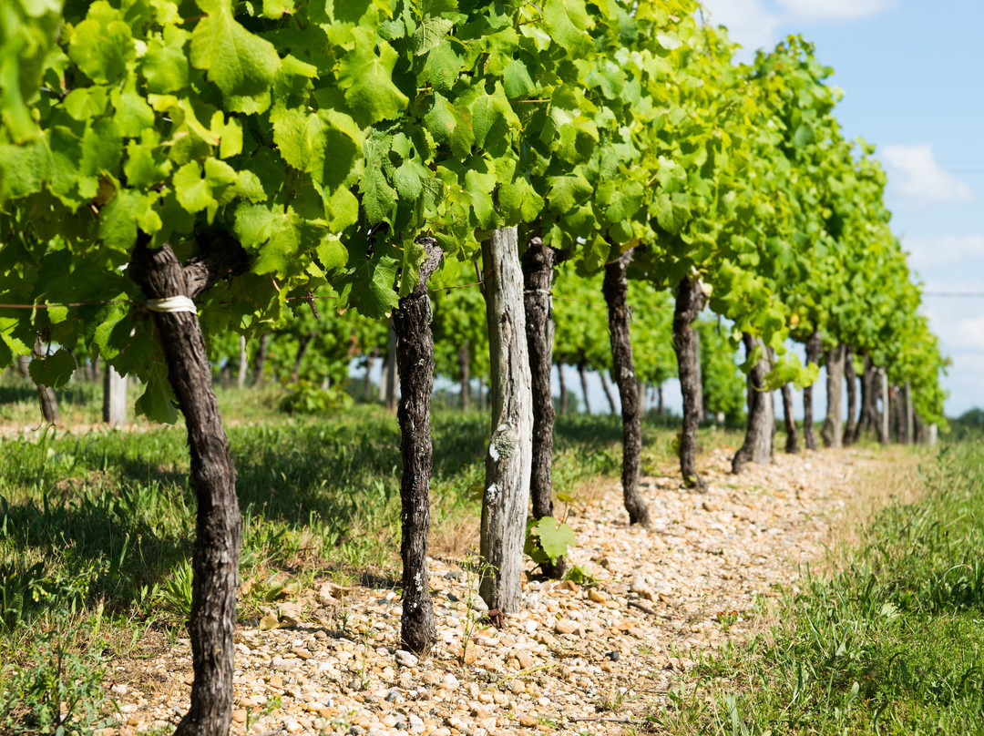 Château Fayau-Cadillac必去景点