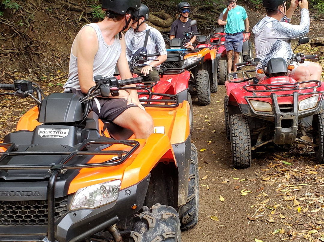 Bahia Pez Vela Resort主图