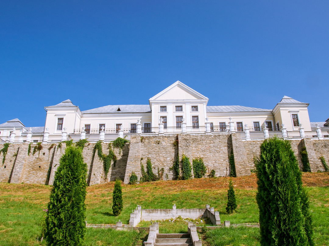 Vishnevetskikh Palace-Vishnevets必去景点