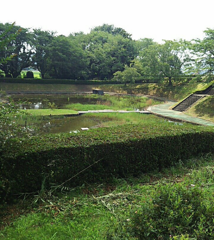 Isobe Sakuragawa Park-樱川市必去景点