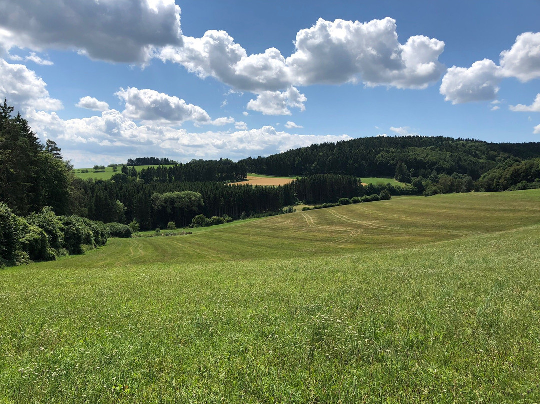 Donauversickerung-Immendingen必去景点