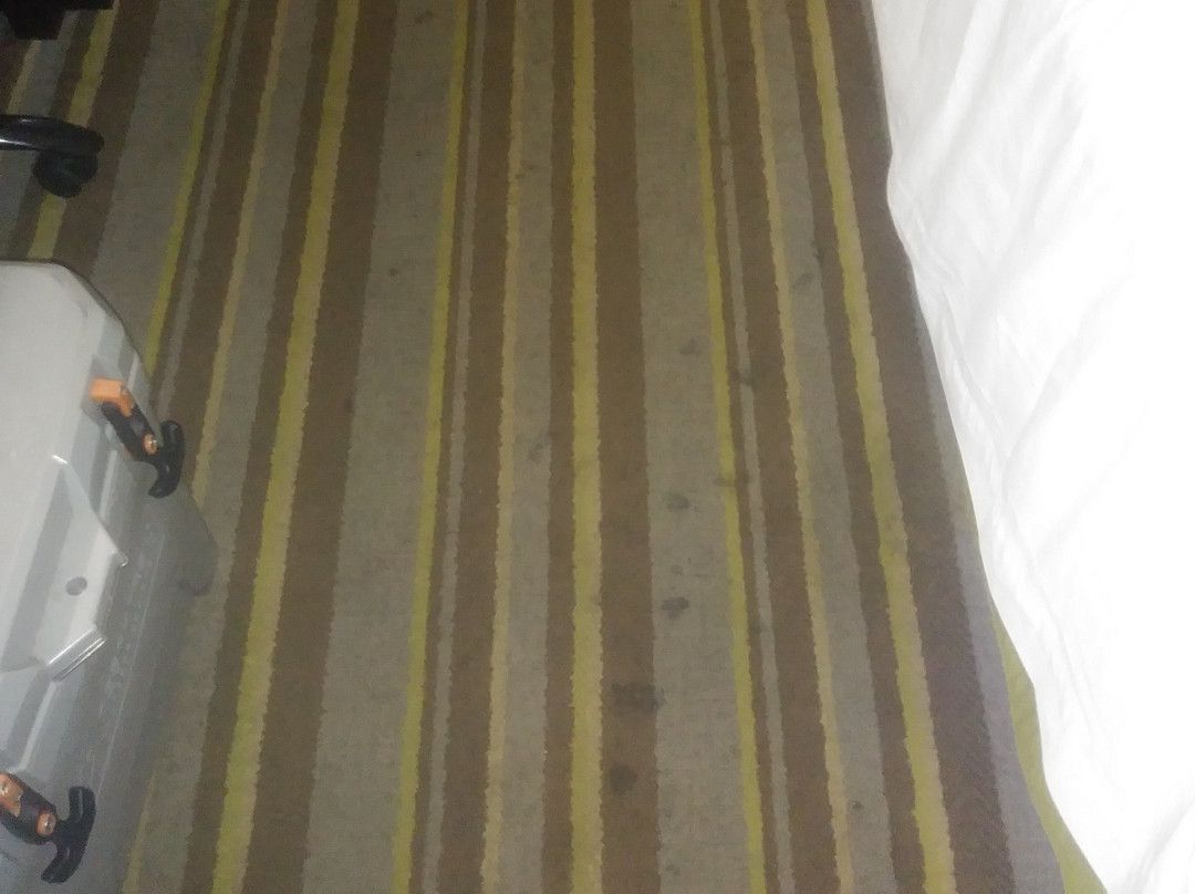 Super 8 by Wyndham Tupelo Airport主图