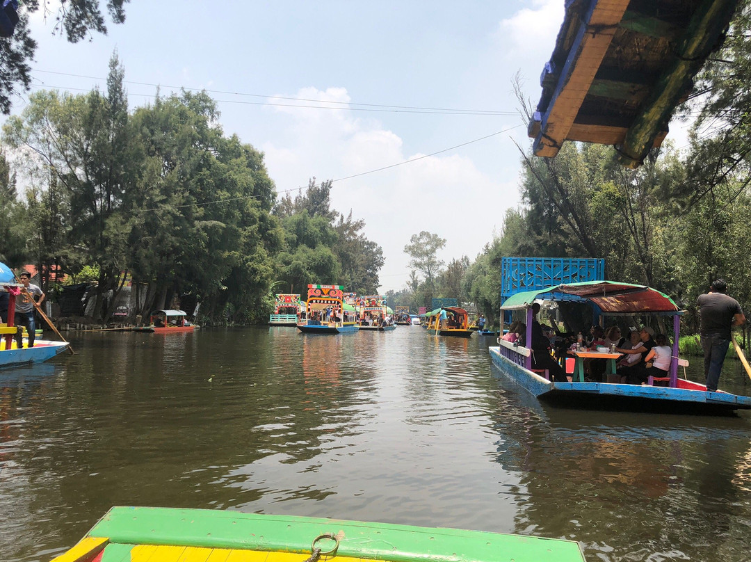 Floating Gardens of Xochimilco景点图片