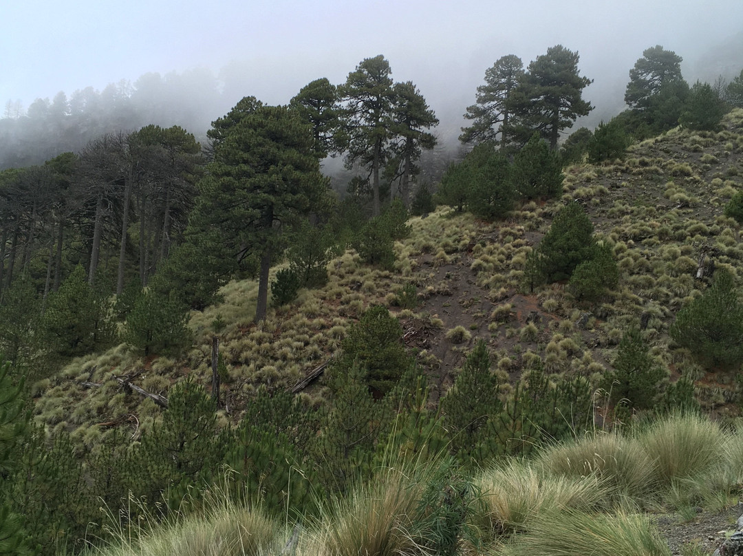 Nevado de Colima Adventure-Ciudad Guzman必去景点