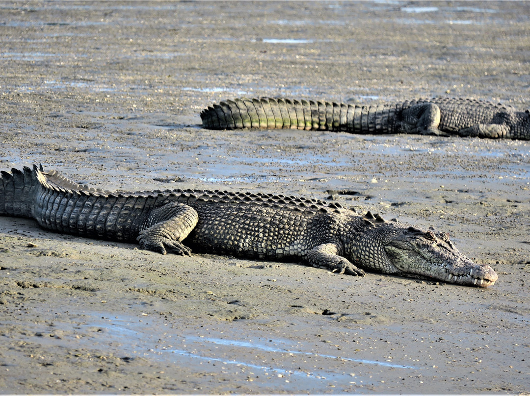Western Cape Eco Tours-Weipa必去景点