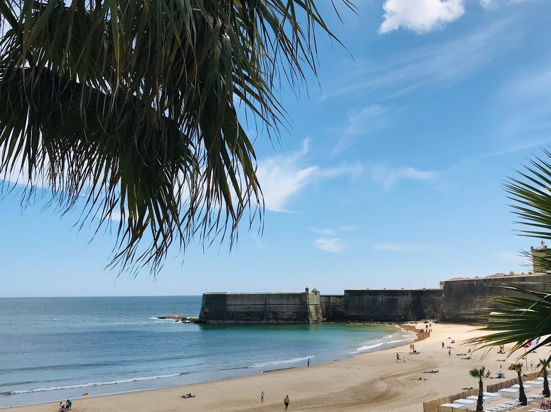 Fortaleza de Sao Juliao Da Barra-卡卡维卢斯必去景点