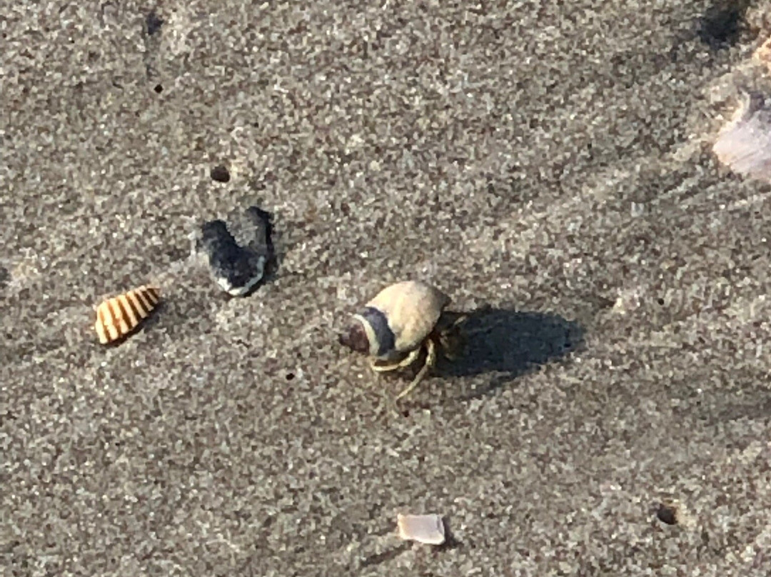 The Point-Oak Island必去景点