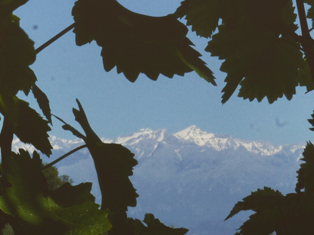Naturist Fig Leaf Villas
