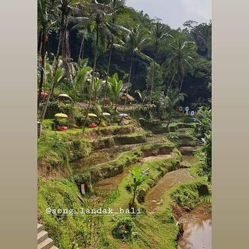 Pakudui Village-德格拉朗必去景点