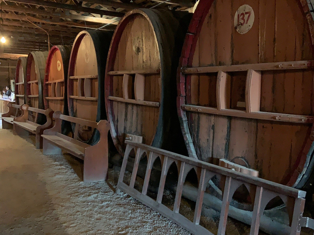 Wine O'Clock Mudgee-马奇必去景点