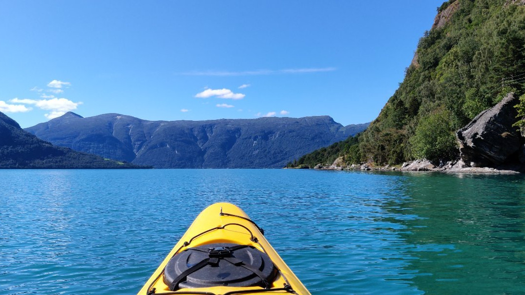 FjordSeal Kayak Day Tour景点图片