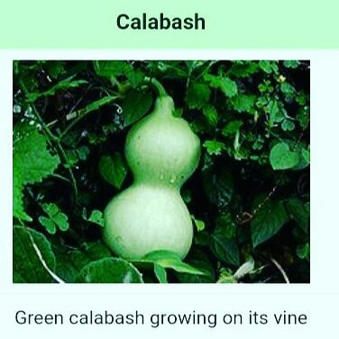 Discover with bra qwesi ghana-库马西必去景点