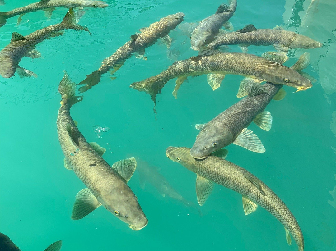 Paddle Surf Negratín-Cuevas del Campo必去景点