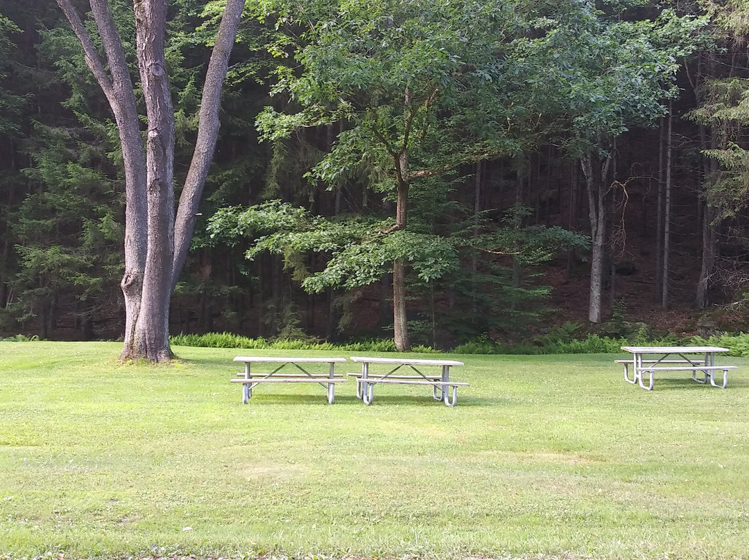 Clear Creek State Park-Sigel必去景点