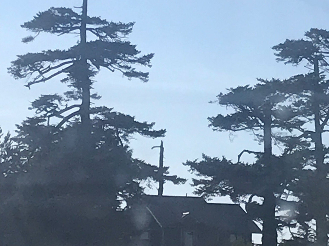 Friday Harbor Jolly Trolley-星期五港湾必去景点