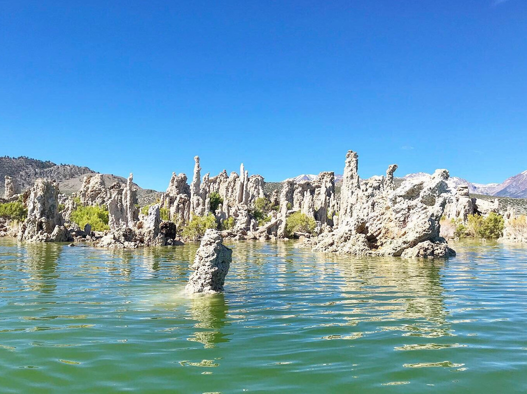 Mono Lake Committee Information Center-利韦宁必去景点