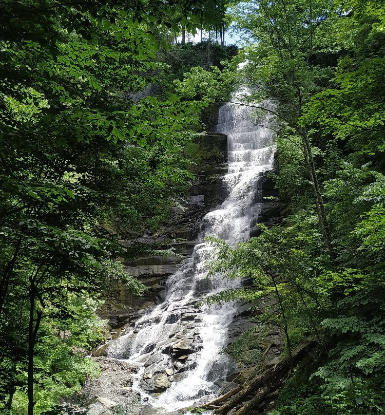Clark Reservation State Park-Jamesville必去景点